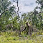 Property photo for land for sale in Hamilton County Florida
