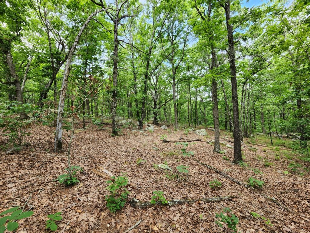 Property photo for land for sale in Le Flore County Oklahoma