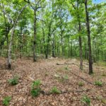 Property photo for land for sale in Le Flore County Oklahoma