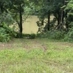 Property photo for land for sale in Stone County Arkansas