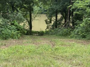Property photo for land for sale in Stone County Arkansas