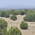 Property photo for land for sale in Torrance County New Mexico