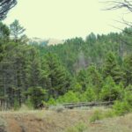 Property photo for land for sale in Jefferson County Montana