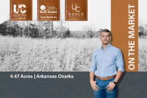 Property photo for land for sale in Fulton County Arkansas