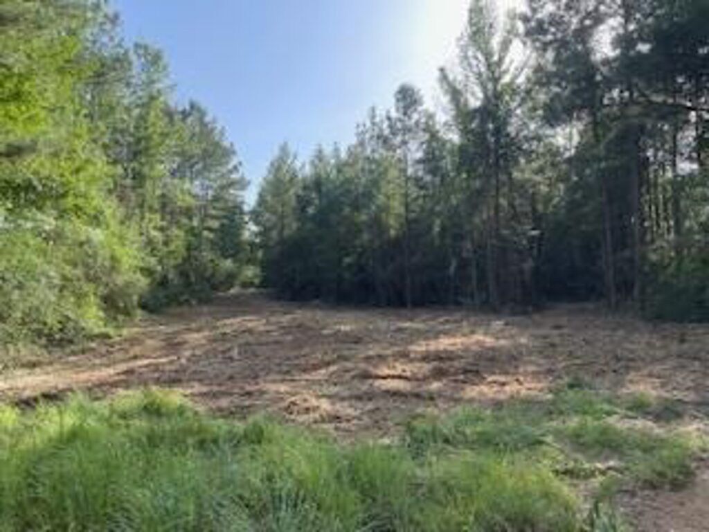 Property photo for land for sale in Amite County Mississippi