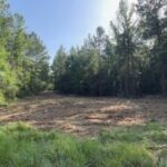 Property photo for land for sale in Amite County Mississippi