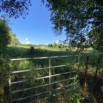 Property photo for land for sale in Vermilion County Louisiana