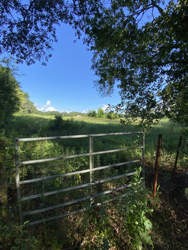 Property photo for land for sale in Vermilion County Louisiana