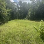 Property photo for land for sale in Cherokee County Texas
