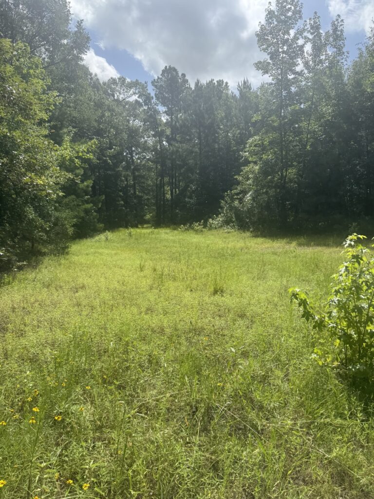 Property photo for land for sale in Cherokee County Texas