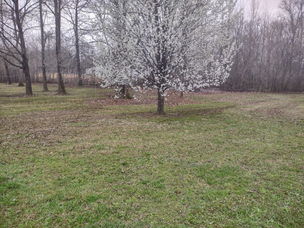 Property photo for land for sale in Decatur County Tennessee