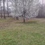 Property photo for land for sale in Decatur County Tennessee