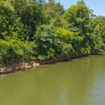 Property photo for land for sale in Campbell County Virginia