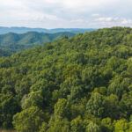 Property photo for land for sale in Hawkins County Tennessee