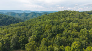 Property photo for land for sale in Hawkins County Tennessee