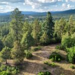 Property photo for land for sale in Rio Arriba County New Mexico