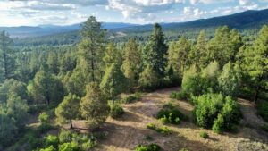 Property photo for land for sale in Rio Arriba County New Mexico