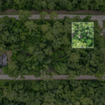 Property photo for land for sale in Wakulla County Florida