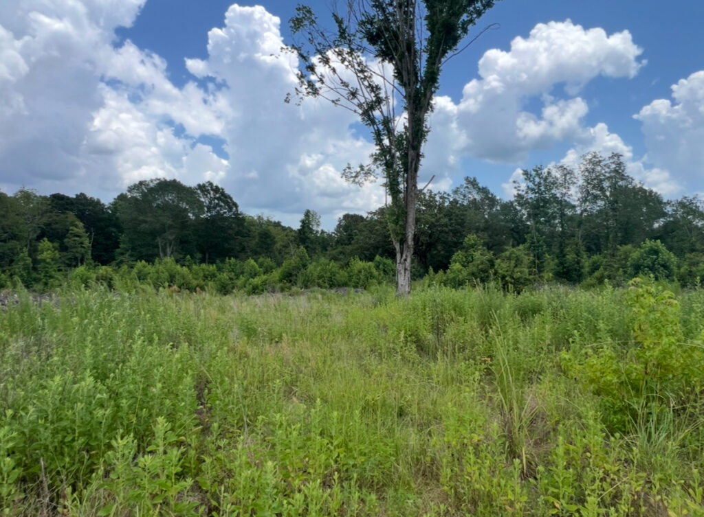 Property photo for land for sale in Lincoln County Louisiana