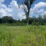 Property photo for land for sale in Lincoln County Louisiana