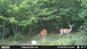 Property photo for land for sale in Stone County Arkansas