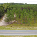 Property photo for land for sale in Dixie County Florida