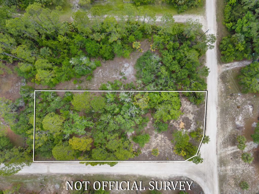 Property photo for land for sale in Dixie County Florida