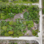 Property photo for land for sale in Dixie County Florida