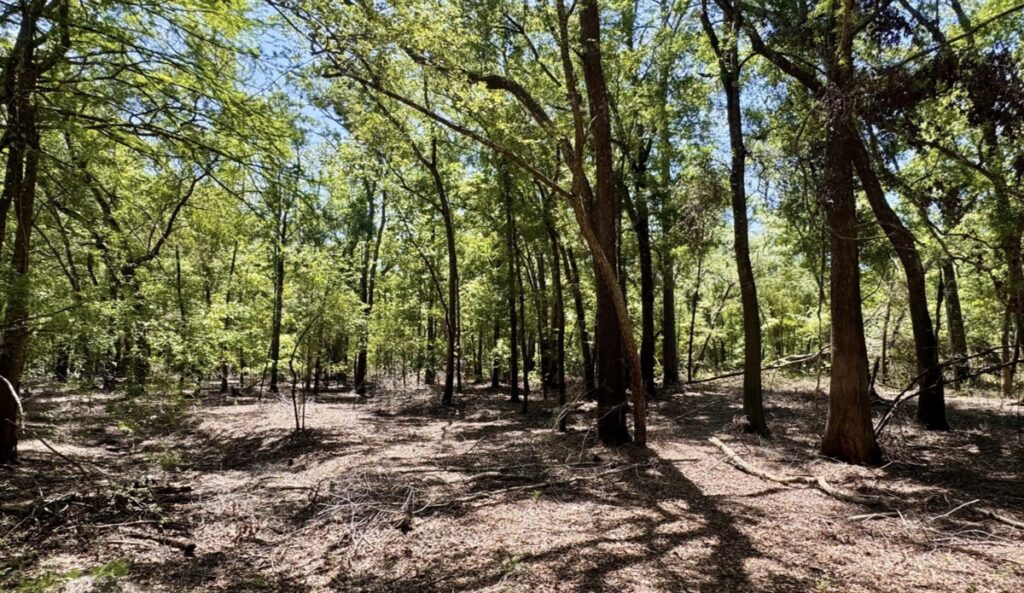 Property photo for land for sale in Suwannee County Florida