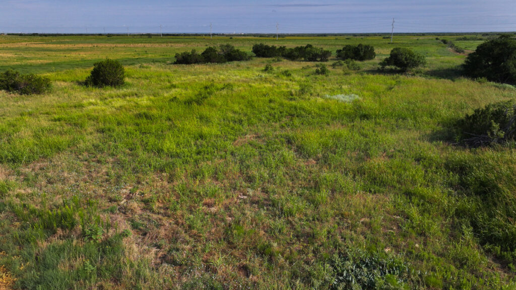 Property photo for land for sale in Hardeman County Texas
