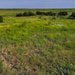 Property photo for land for sale in Hardeman County Texas