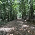 Property photo for land for sale in Autauga County Alabama