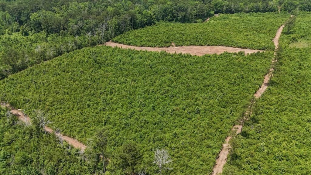 Property photo for land for sale in Amite County Mississippi