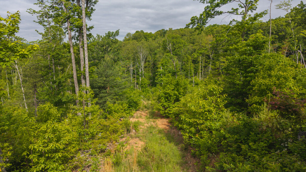 Property photo for land for sale in Patrick County Virginia