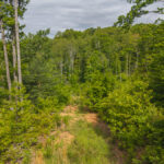 Property photo for land for sale in Patrick County Virginia