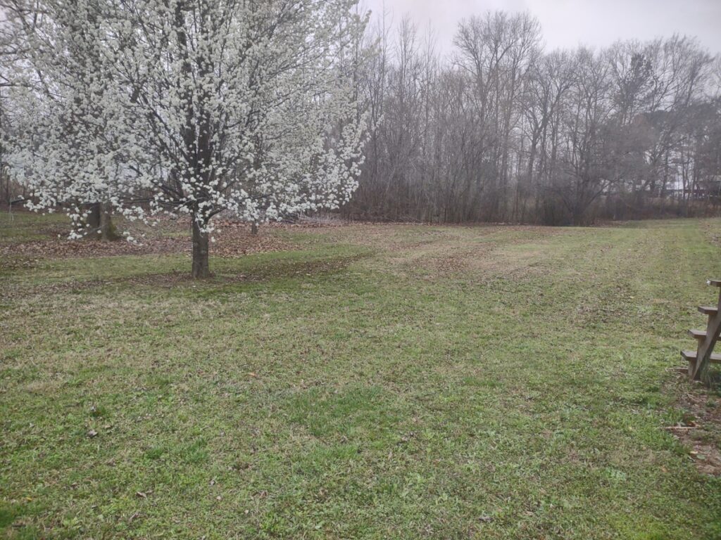 Property photo for land for sale in Decatur County Tennessee