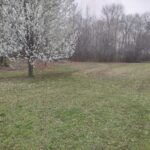 Property photo for land for sale in Decatur County Tennessee