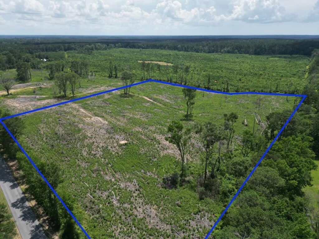 Property photo for land for sale in Amite County Mississippi
