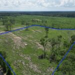Property photo for land for sale in Amite County Mississippi