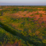 Property photo for land for sale in  County Texas