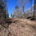 Property photo for land for sale in Red River County Texas