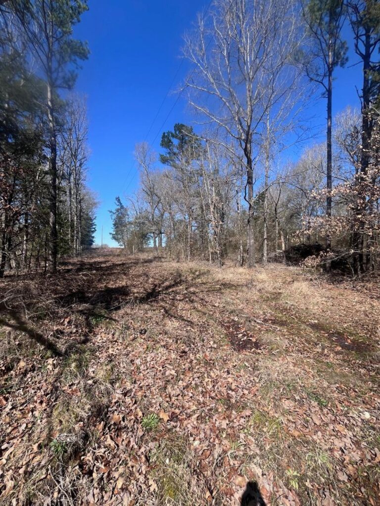 Property photo for land for sale in Red River County Texas