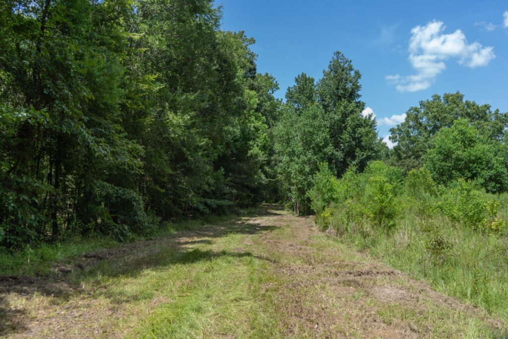 Property photo for land for sale in Ouachita County Louisiana