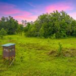Property photo for land for sale in Columbia County Florida