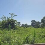 Property photo for land for sale in Ozark County Missouri