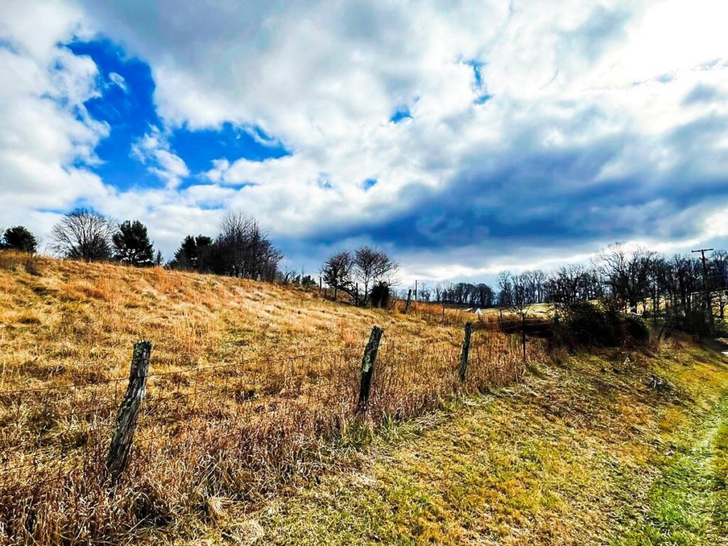 Property photo for land for sale in Wythe County Virginia