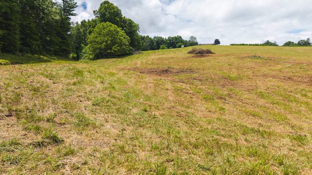 Property photo for land for sale in Floyd County Virginia