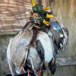 Property photo for land for sale in St. Landry County Louisiana