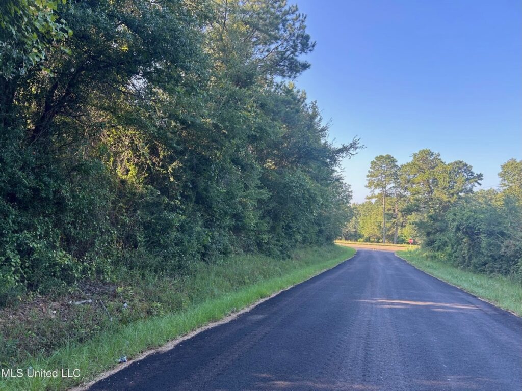 Property photo for land for sale in Pike County Mississippi