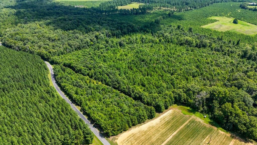 Property photo for land for sale in Mecklenburg County Virginia